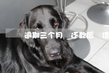 逾期三个月 还款后 信用卡 逾期三个月 还款后 信用卡